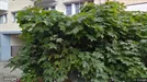 Kontor att hyra, Vänersborg, &lt;span class=&quot;blurred street&quot; onclick=&quot;ProcessAdRequest(517246)&quot;&gt;&lt;span class=&quot;hint&quot;&gt;Se gatunamn&lt;/span&gt;[xxxxxxxxxx]&lt;/span&gt;