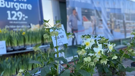 Kontorslokaler att hyra i Täby - foto 8