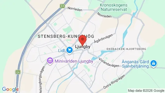 Affärslokaler att hyra i Ljungby - kort over placeringen